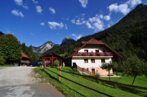 Отель Country house - Turistična kmetija Ambrož Gregorc  Солкава